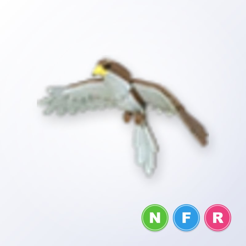 Hawk NFR | Adopt Me