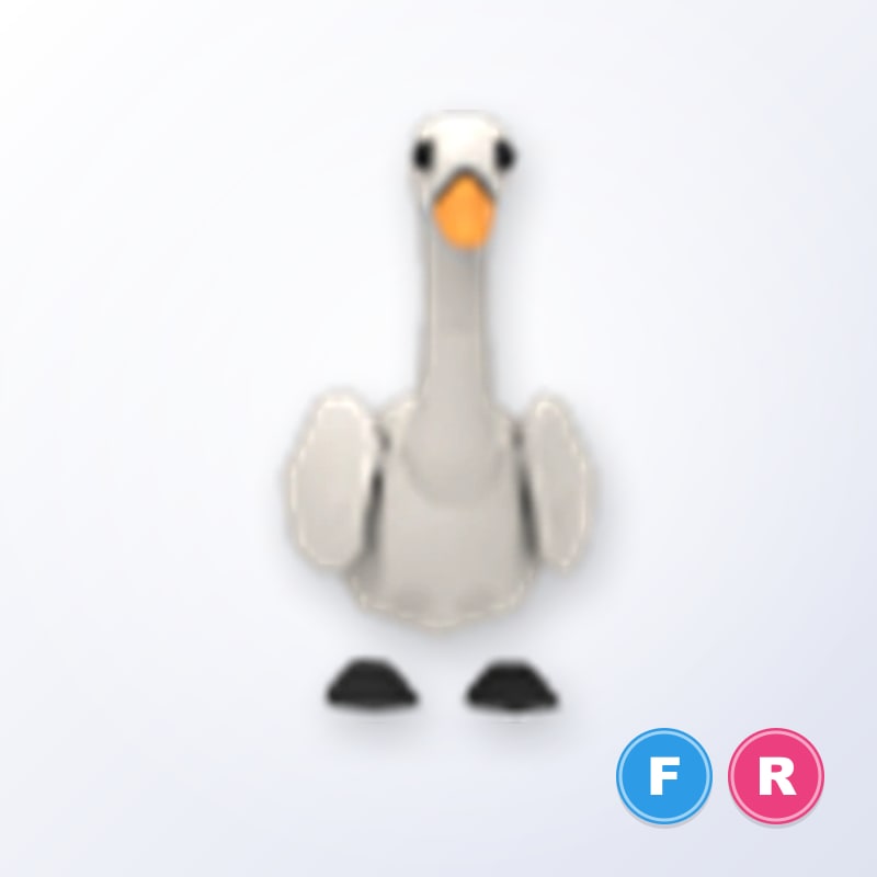 Swan FR | Adopt Me