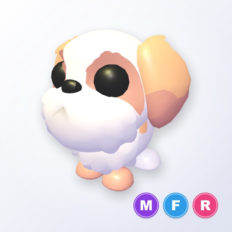 Shih Tzu MFR | Adopt Me