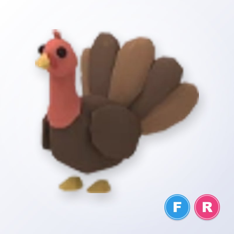 Turkey FR | Adopt Me
