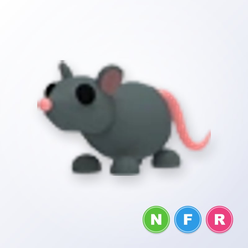 Rat NFR | Adopt Me