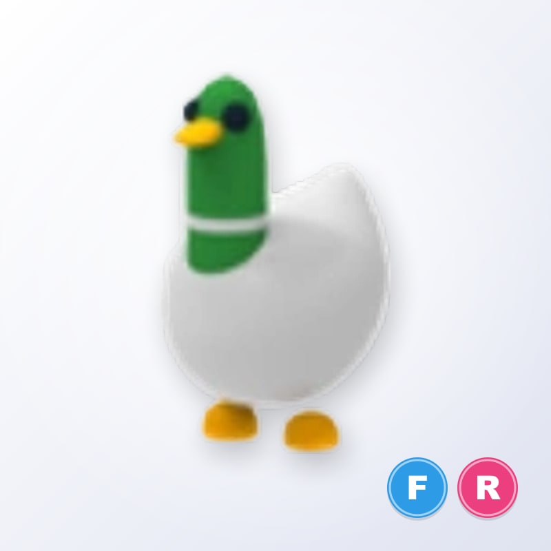 Silly Duck FR | Adopt Me