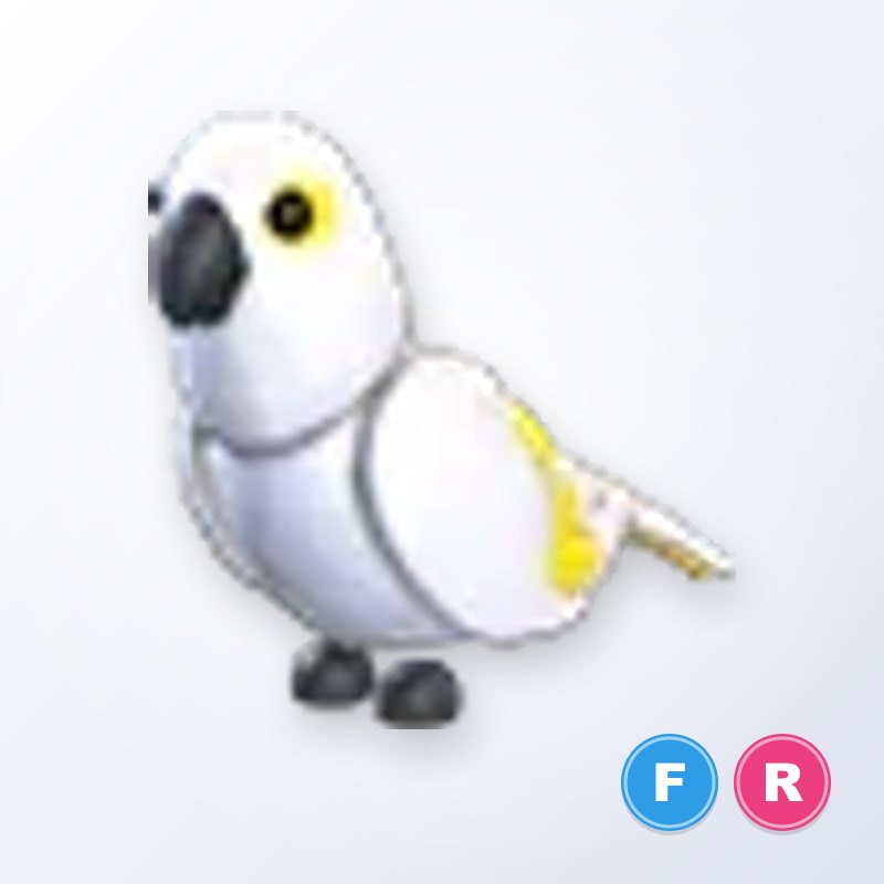 White Amazon FR | Adopt Me