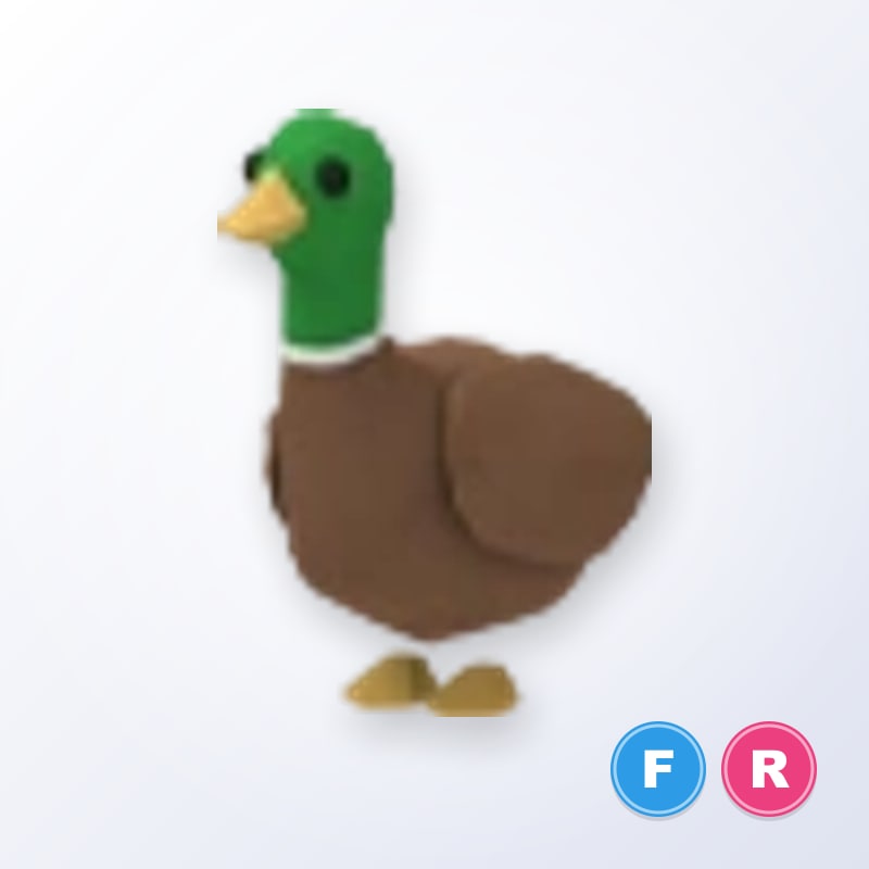 Drake FR | Adopt Me