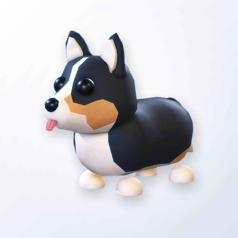 Royal Corgi | Adopt Me