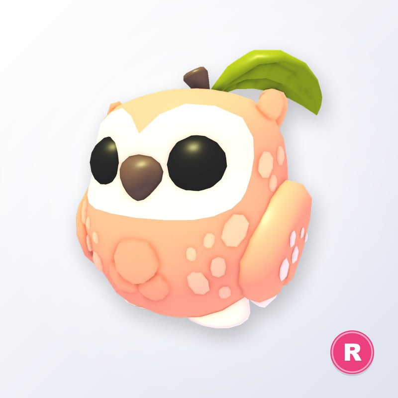 Peach Owl R | Adopt Me
