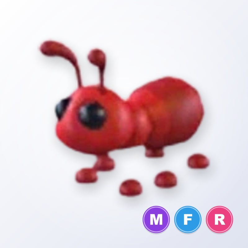 Ant MFR | Adopt Me