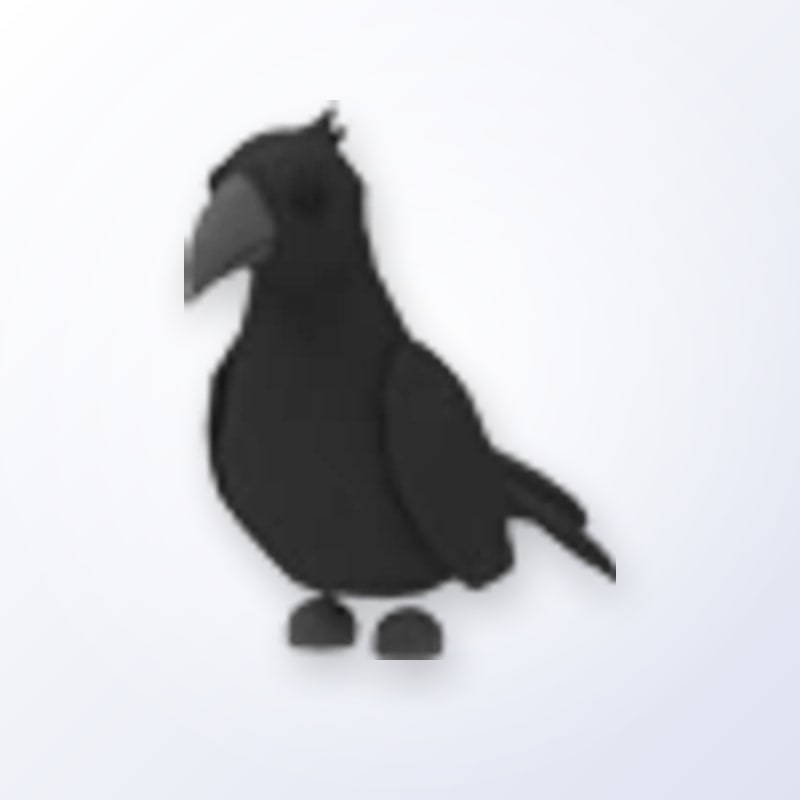 Crow | Adopt Me