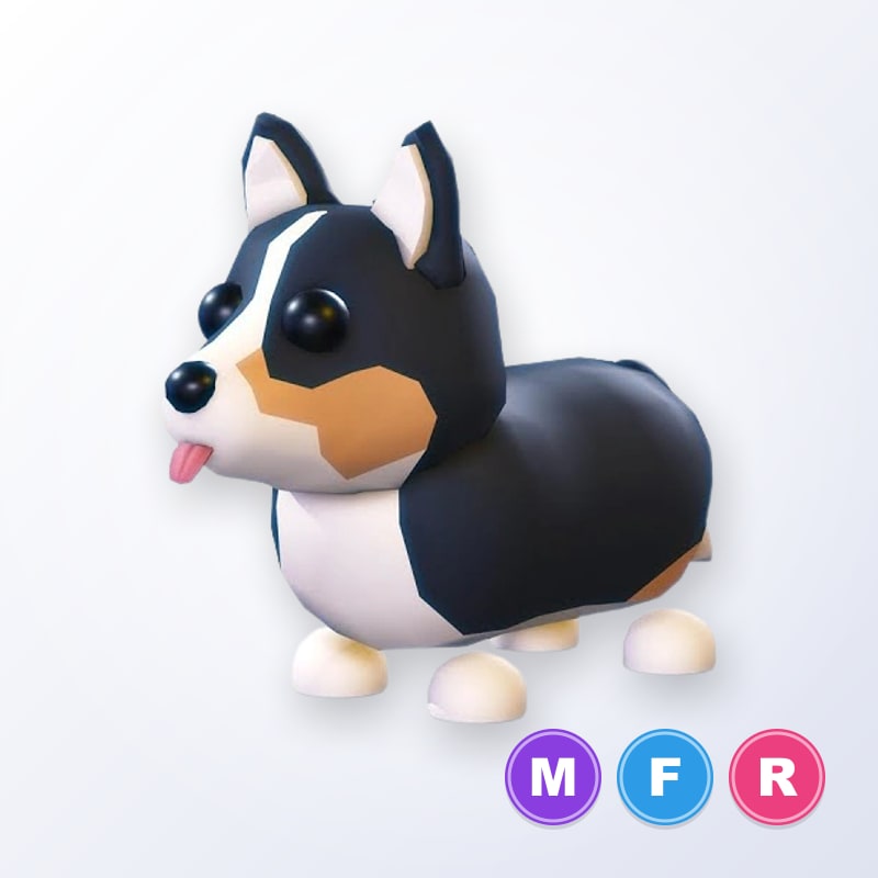 Royal Corgi MFR | Adopt Me