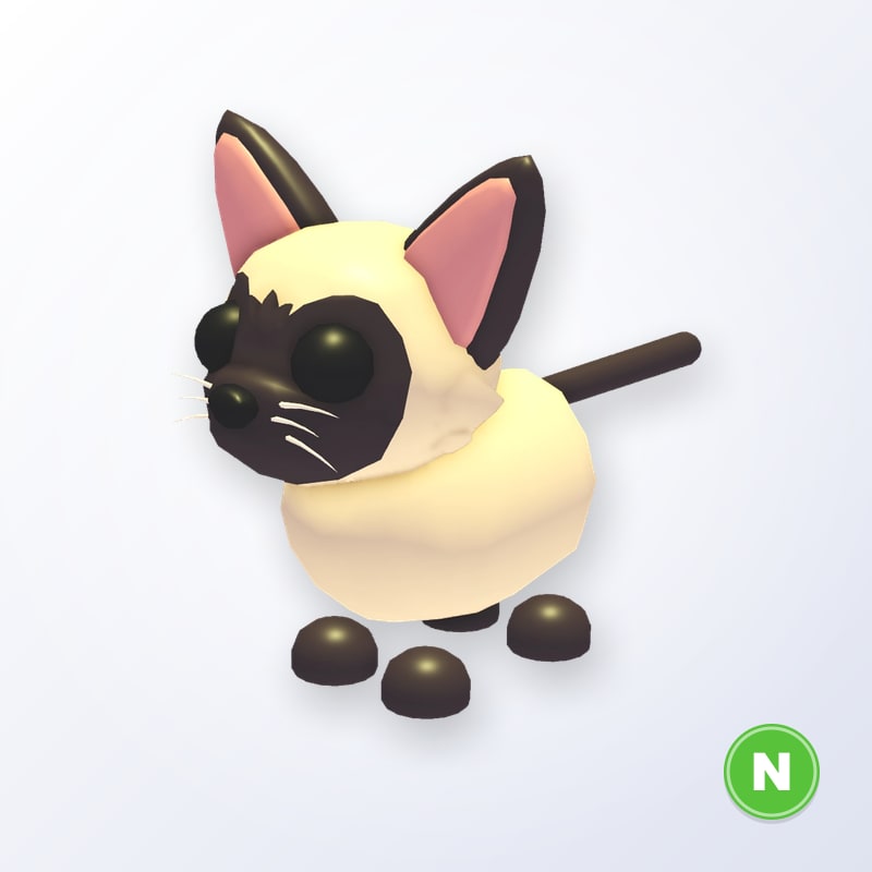 Siamese Cat N | Adopt Me