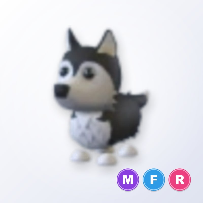 Husky MFR | Adopt Me