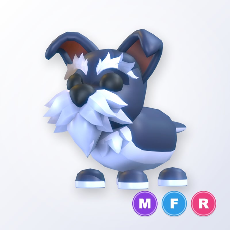 Mini Schnauzer MFR | Adopt Me
