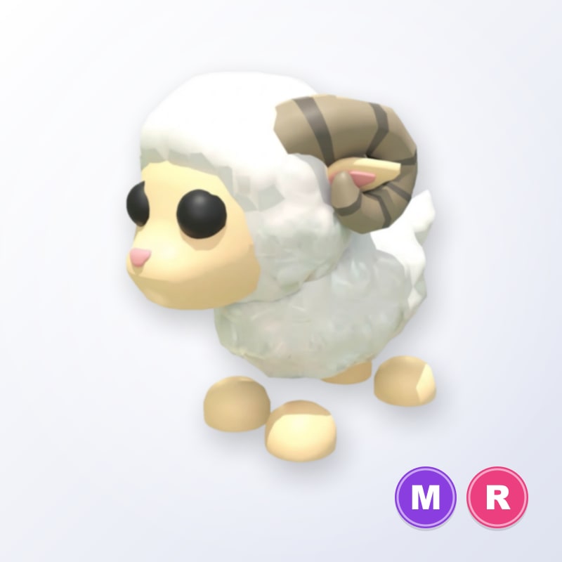 Ram MR | Adopt Me