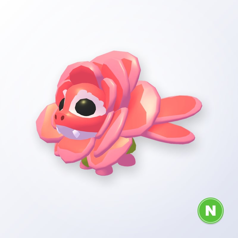Rose Dragon N | Adopt Me