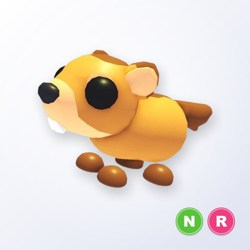 Groundhog NR | Adopt Me