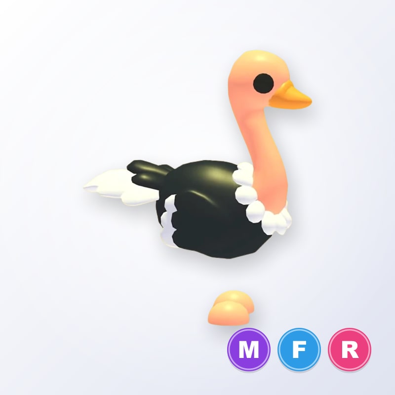 Ostrich MFR | Adopt Me