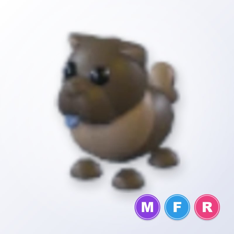 Chocolate Chow-Chow MFR | Adopt Me