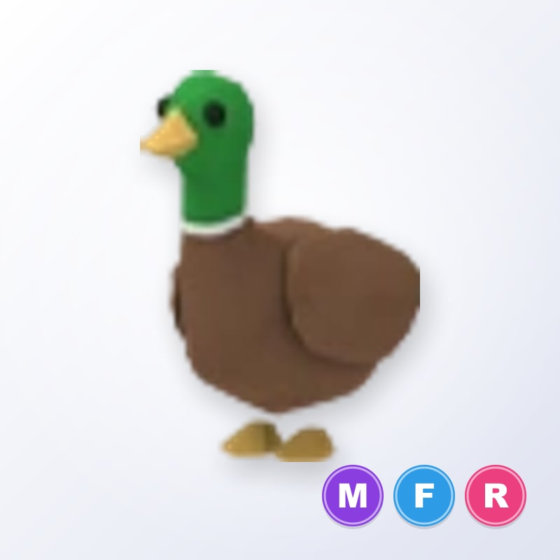 Drake MFR | Adopt Me
