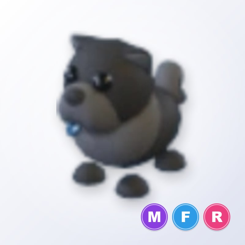 Black Chow-Chow MFR | Adopt Me