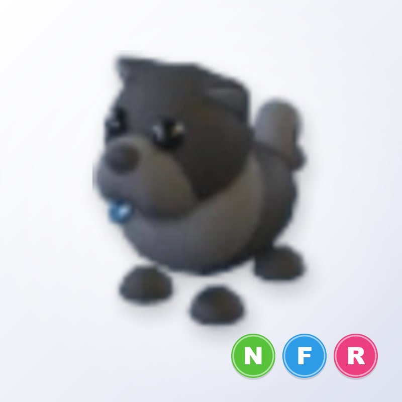 Black Chow-Chow NFR | Adopt Me