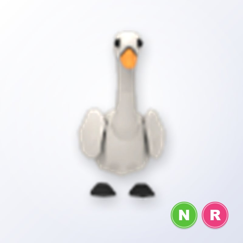 Swan NR | Adopt Me
