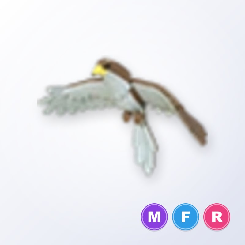 Hawk MFR | Adopt Me