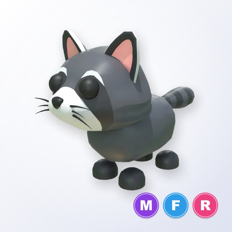 Raccoon MFR | Adopt Me