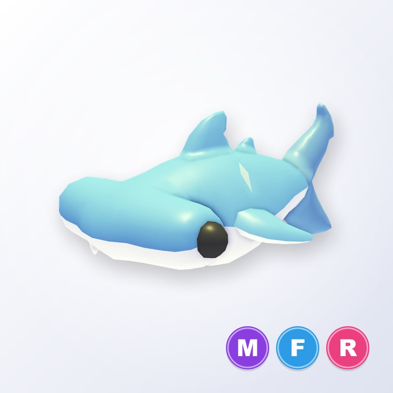 Hammerhead Shark MFR | Adopt Me