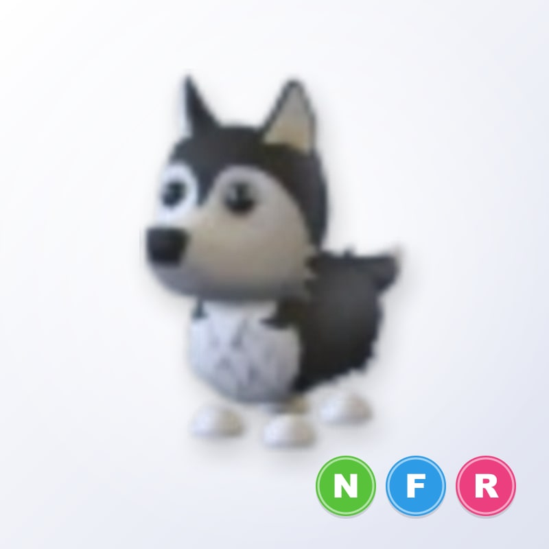 Husky NFR | Adopt Me