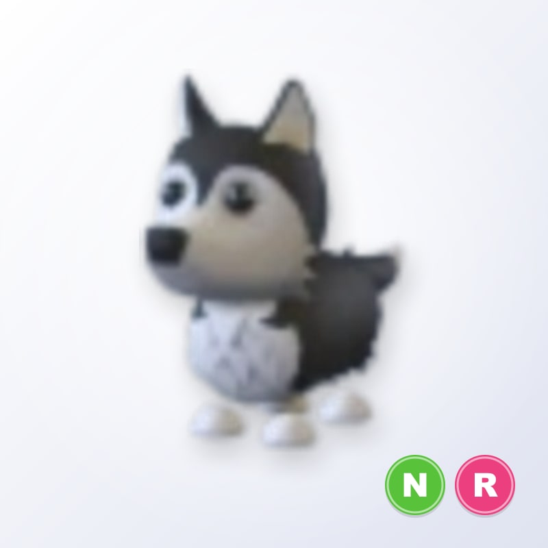 Husky NR | Adopt Me