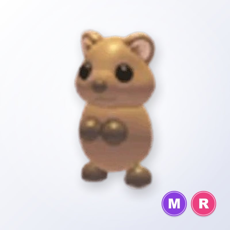 Quokka MR | Adopt Me