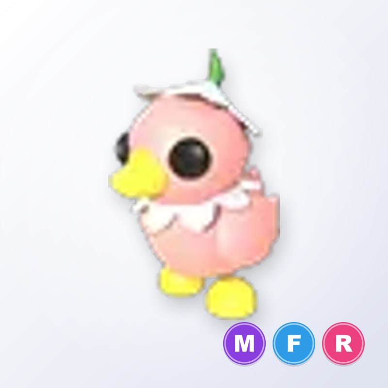 Flower Power Duckling MFR | Adopt Me