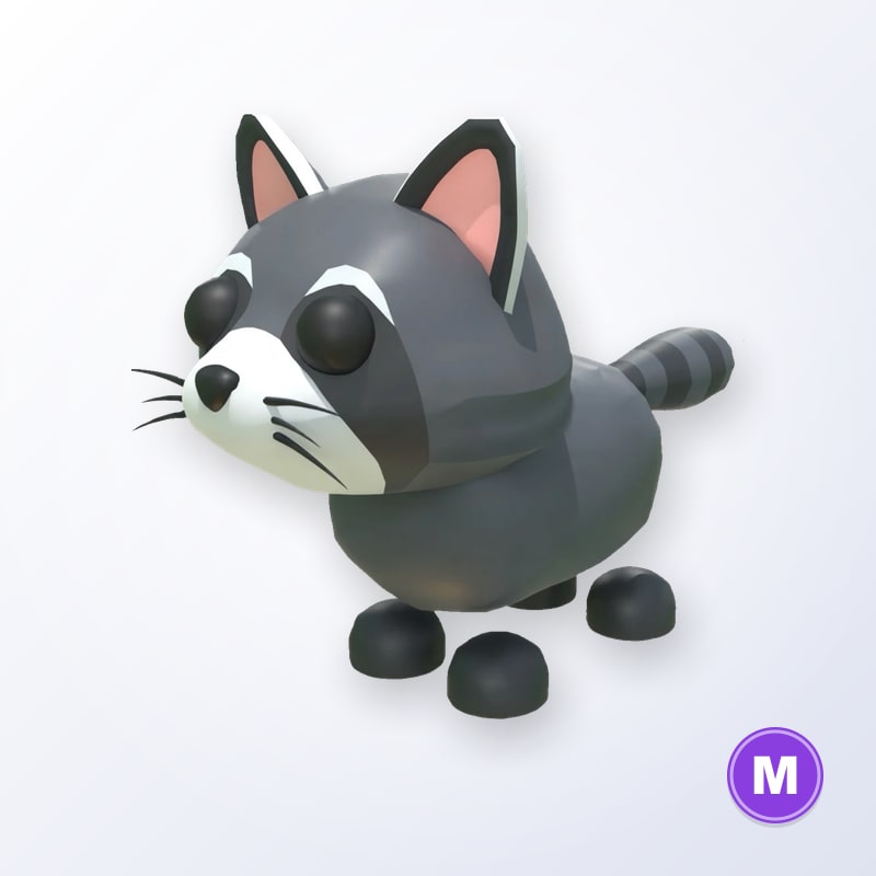 Raccoon M | Adopt Me