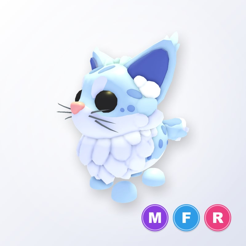 Maine Coon MFR | Adopt Me