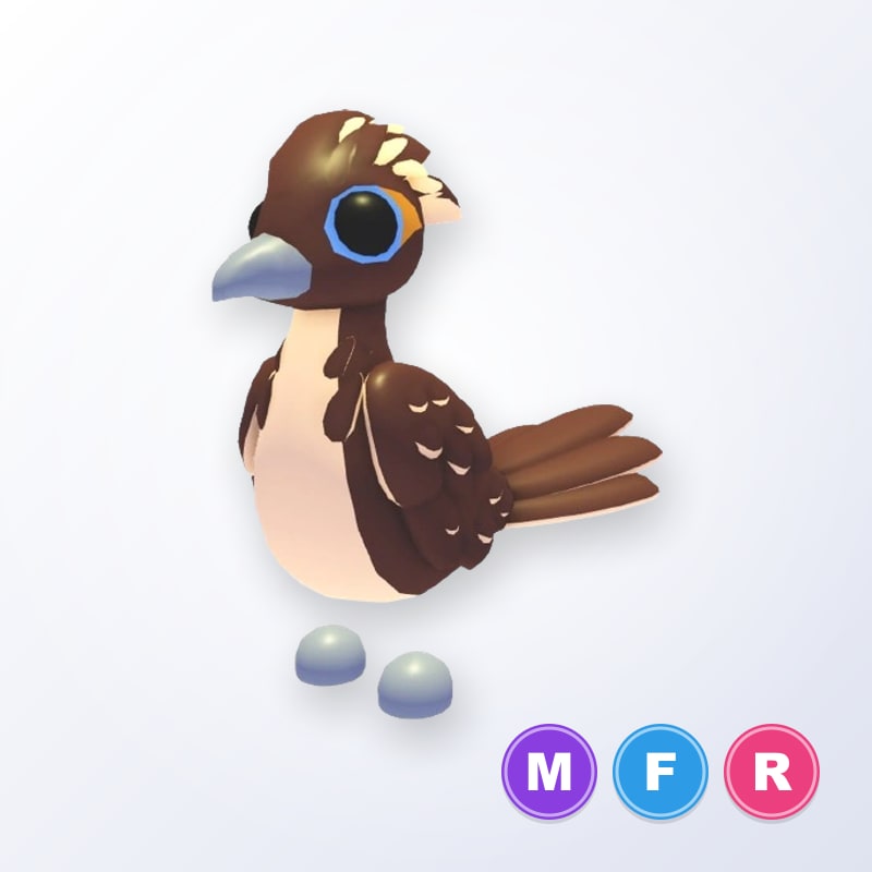 Roadrunner MFR | Adopt Me