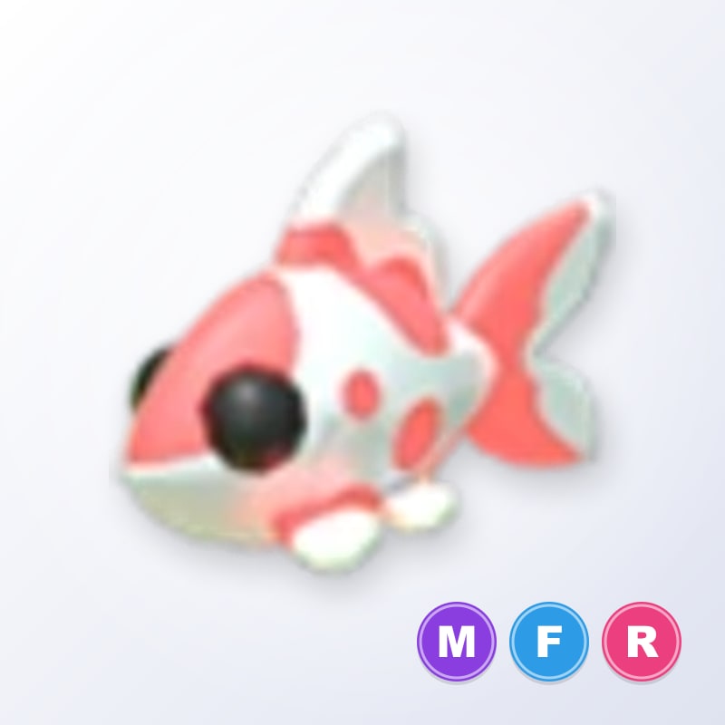 Koi Carp MFR | Adopt Me