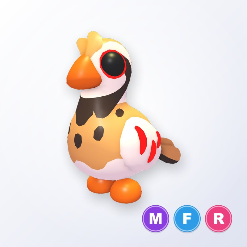 Partridge MFR | Adopt Me