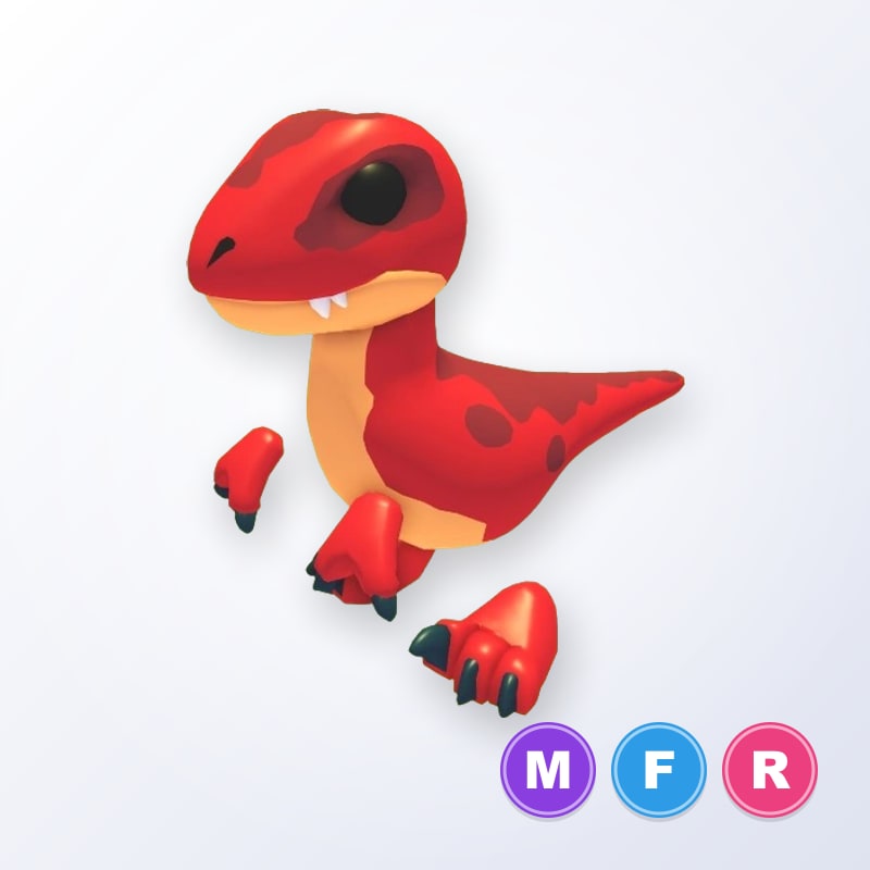 Velociraptor MFR | Adopt Me