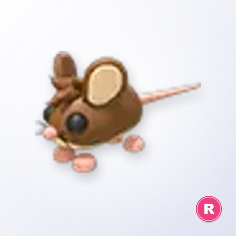 Field Mouse R | Adopt Me