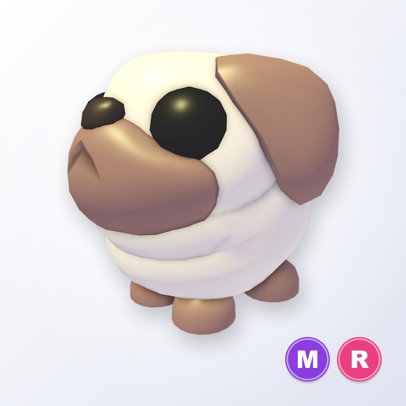 Snowball Pug MR | Adopt Me