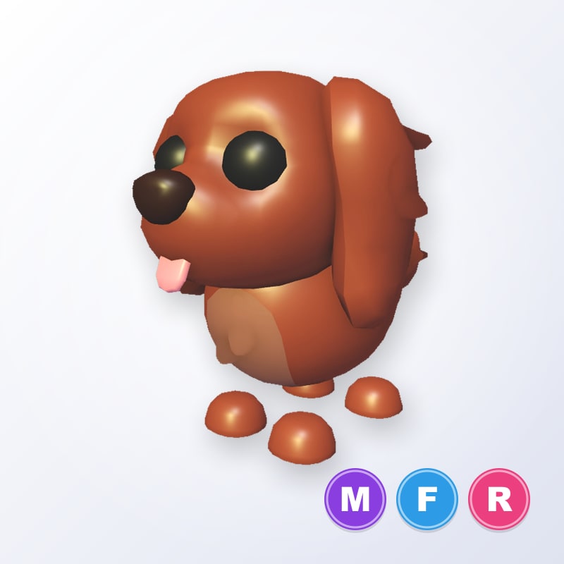 Irish Setter MFR | Adopt Me