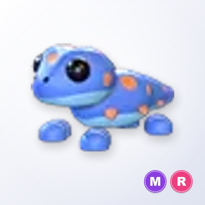 Gecko MR | Adopt Me