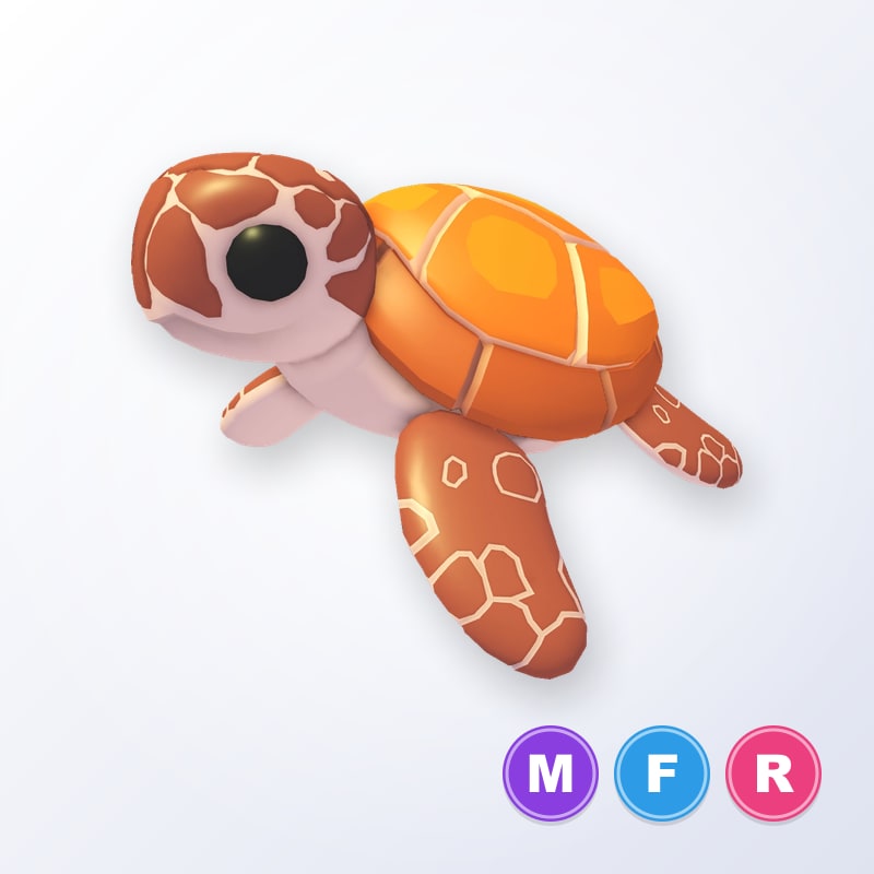 Sea Turtle MFR | Adopt Me