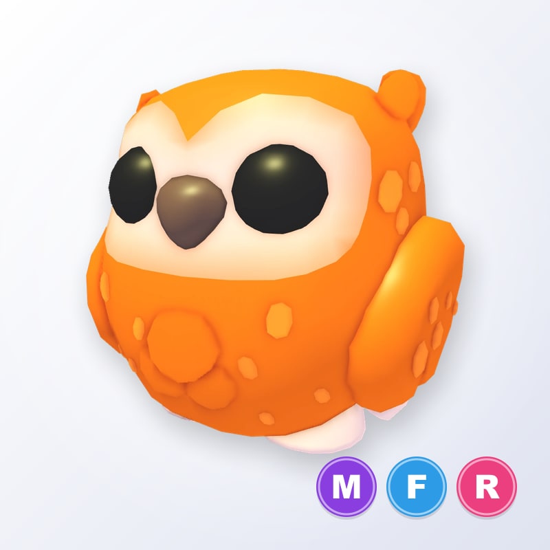 Clementine Owl MFR | Adopt Me