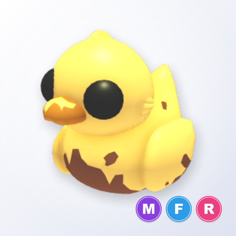 Dirty Ducky MFR | Adopt Me