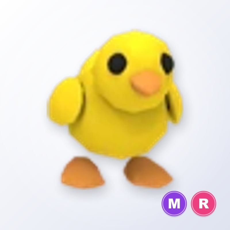 Chick MR | Adopt Me