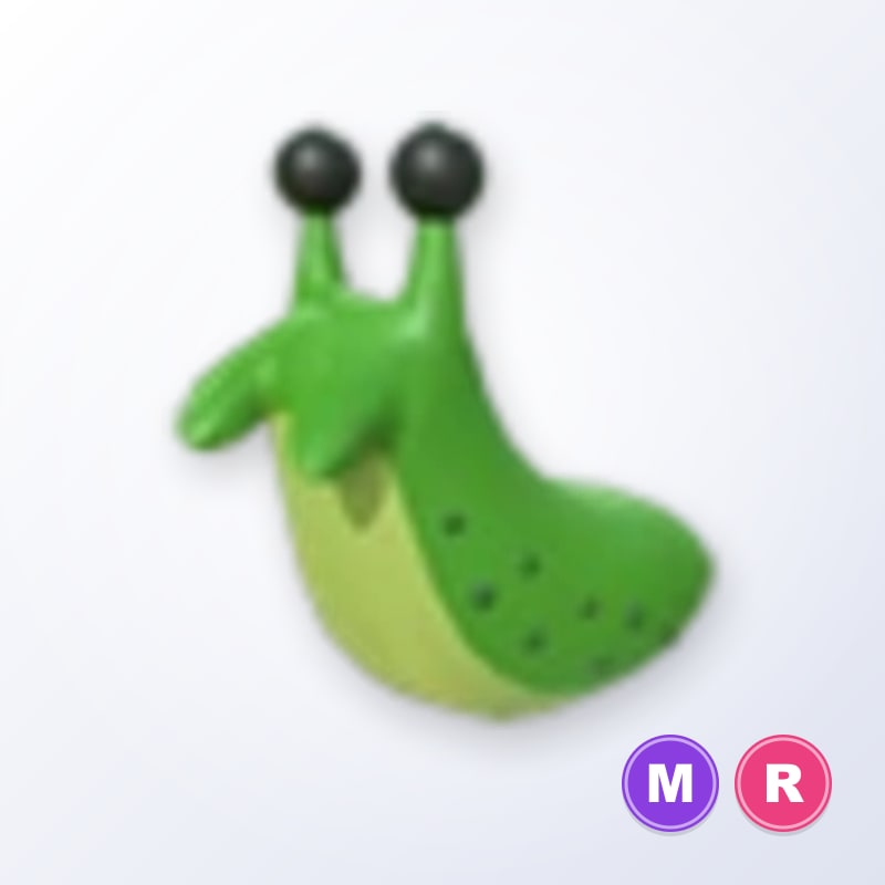Slug MR | Adopt Me