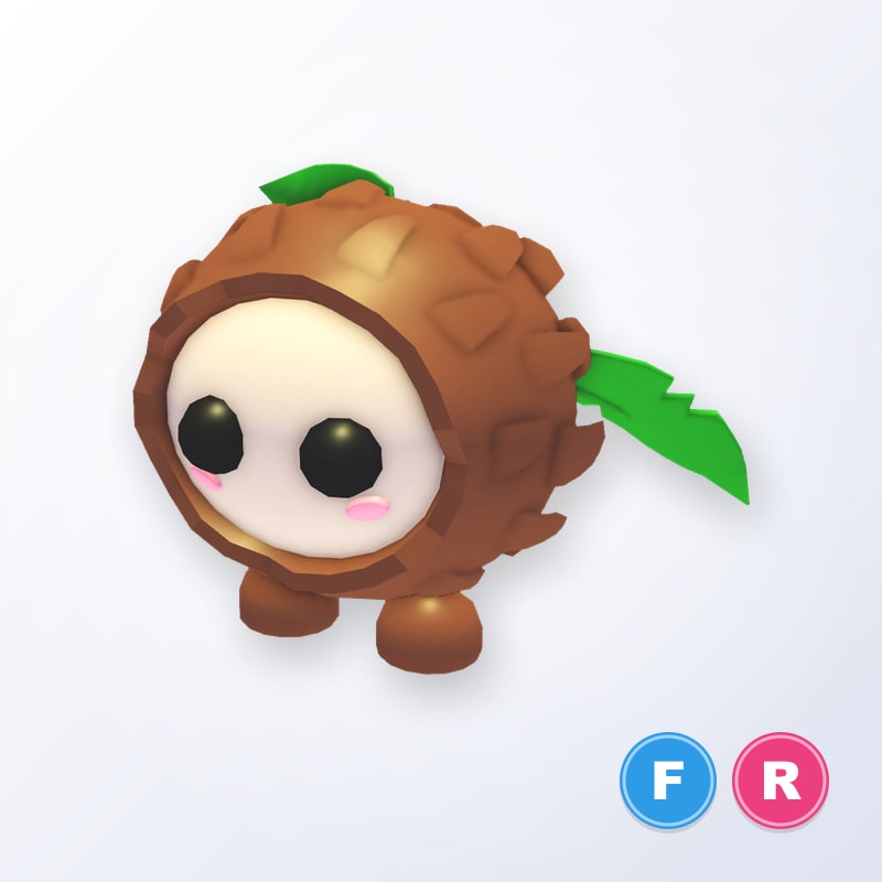 Coconut Friend FR | Adopt Me