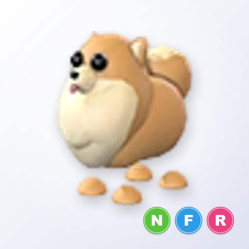 Pomeranian NFR | Adopt Me