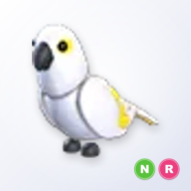 White Amazon NR | Adopt Me